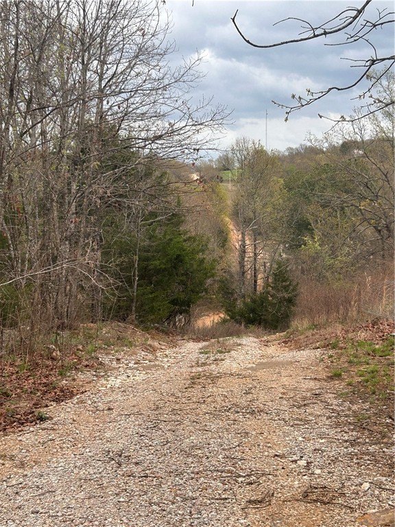Picture 9