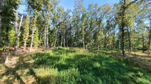 Vacant Land, Mammoth Spring, AR