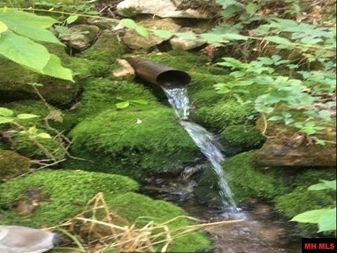 Yellville Land with Creek