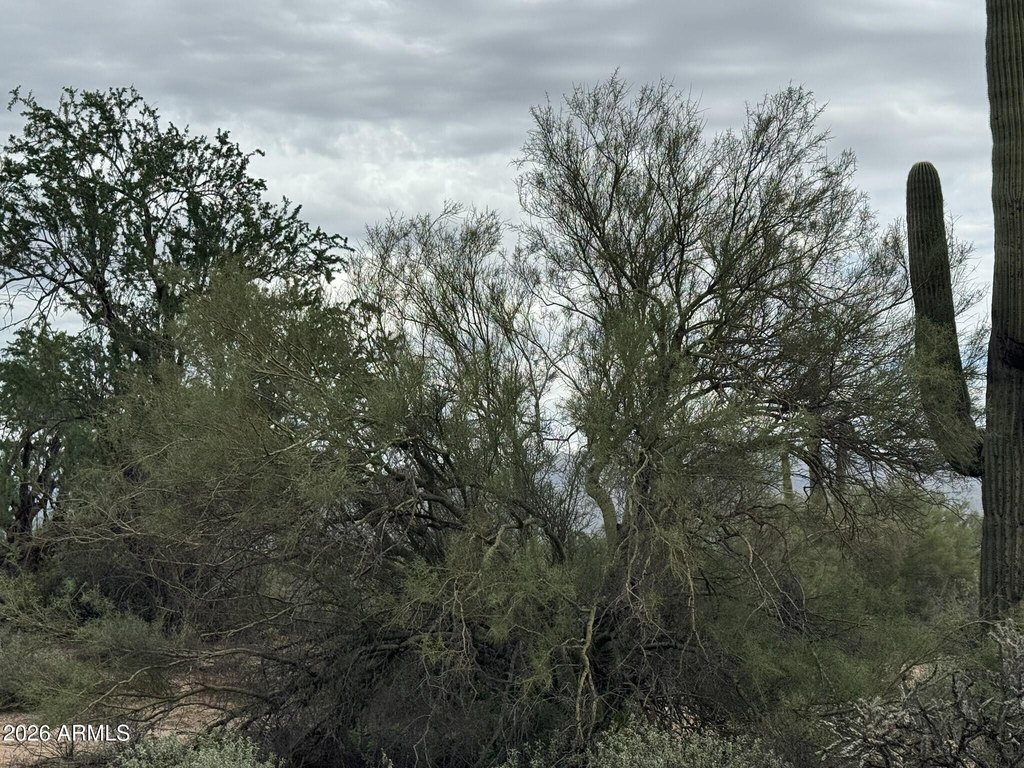 Picture 19