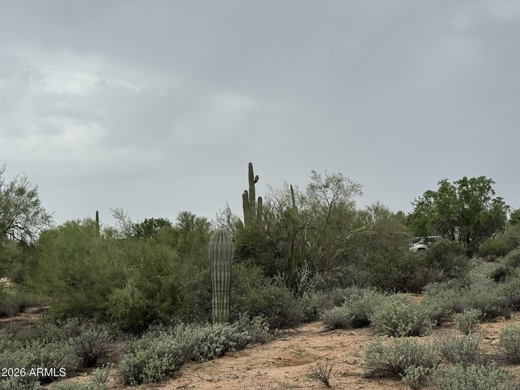 Picture 16