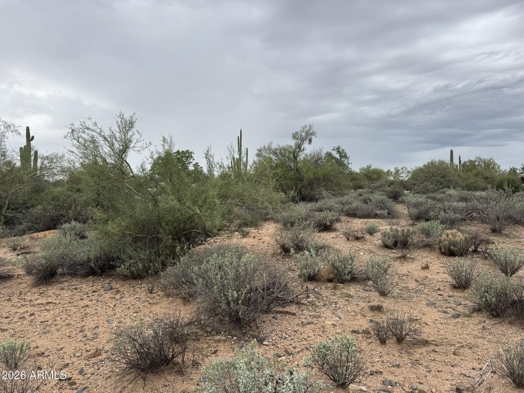 Picture 21