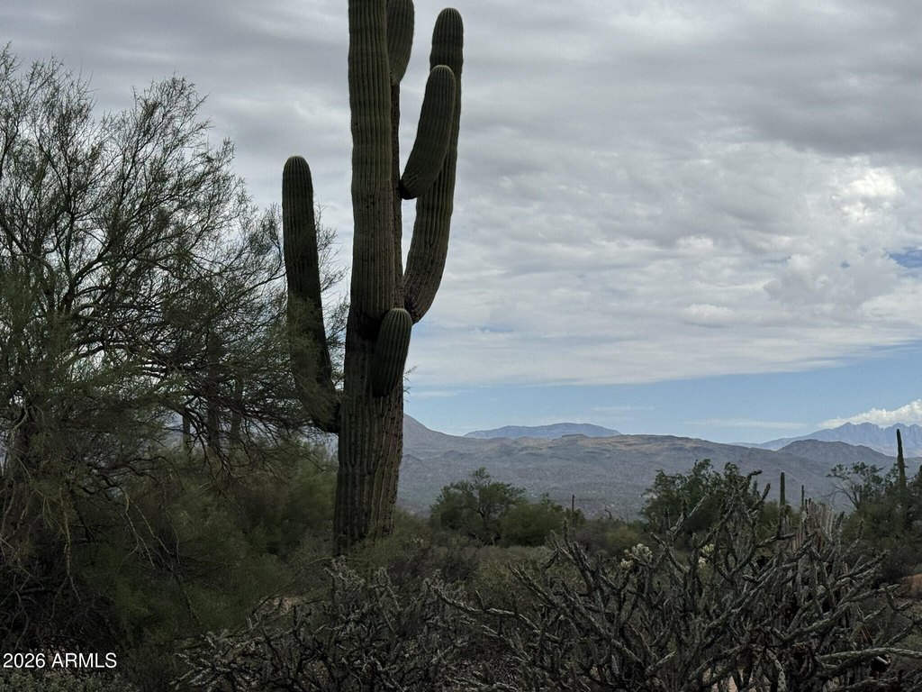 Picture 20