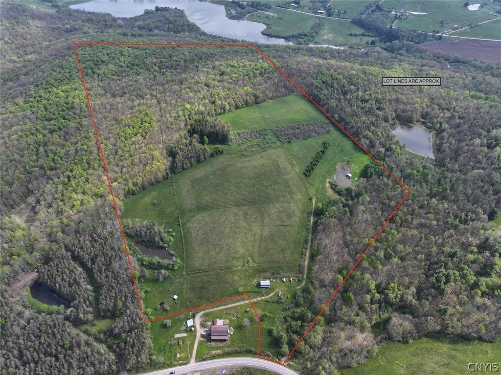 Franklinville 75-Acre Land Parcel