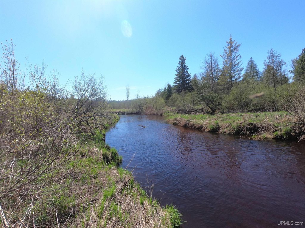 Picture 8
