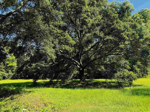 Georgetown Land Near Winyah Bay