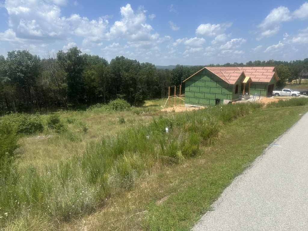 Picture 5