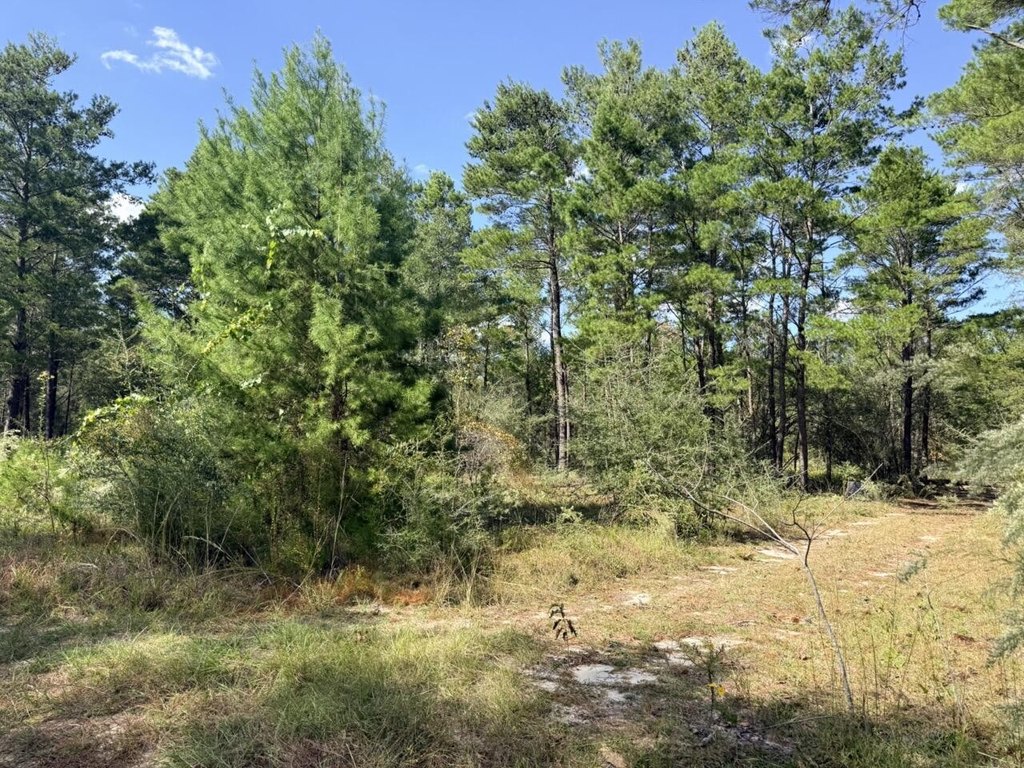 Picture 6