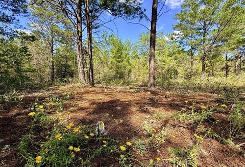 Land, DeFuniak Springs, FL