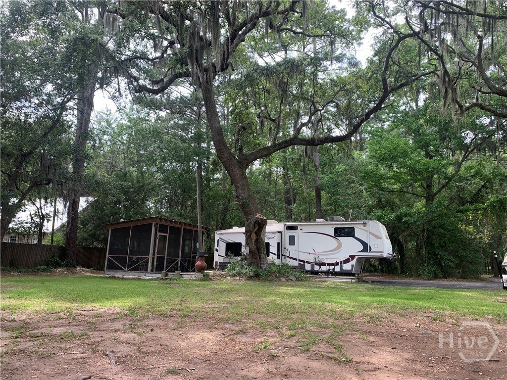 Picture 19
