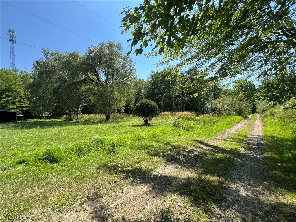 Picture 15