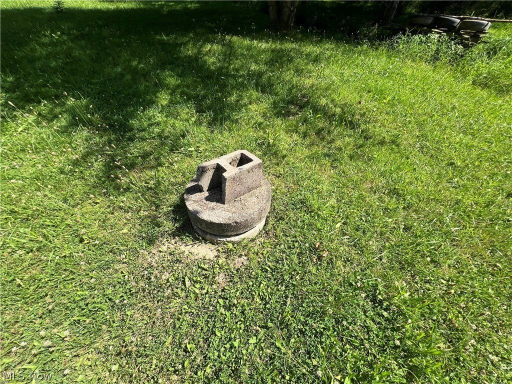 Picture 8