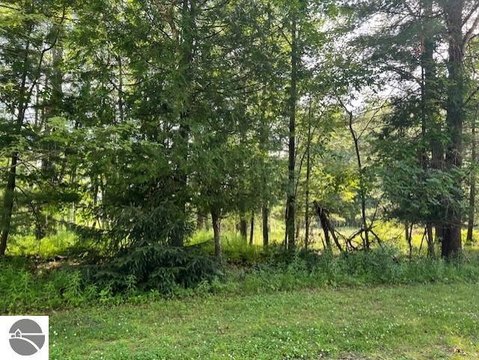 Tawas City Land Development Opportunity