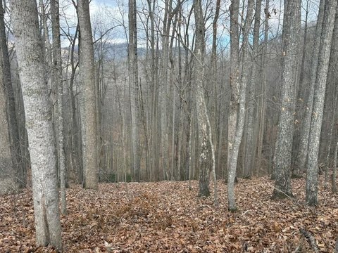 Blairsville, GA Vacant Wooded Lot
