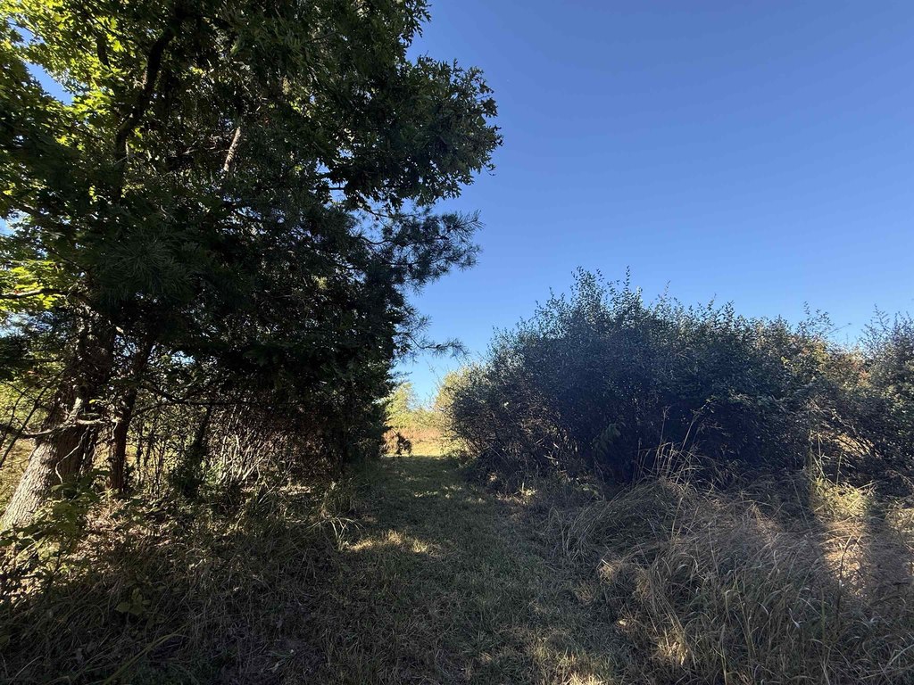 Picture 16