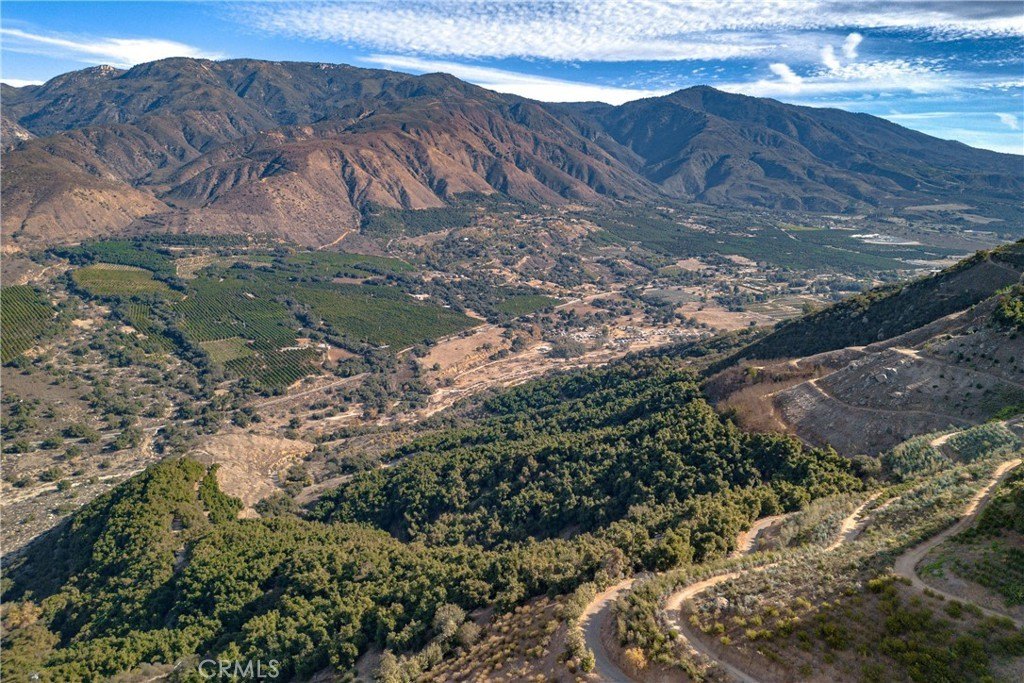 20.54 Acres Avocado Grove