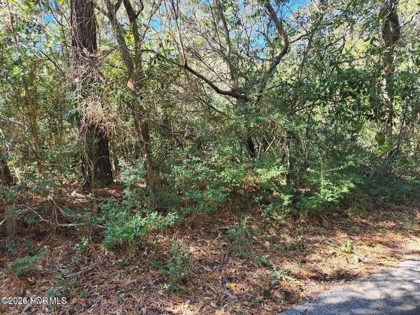 Buildable Homesite in Maritime Forest