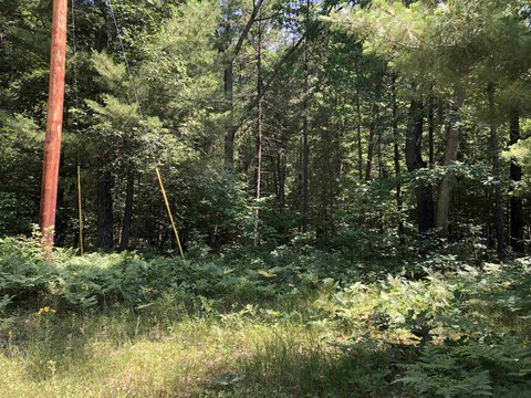 LAND - Harrison, MI
