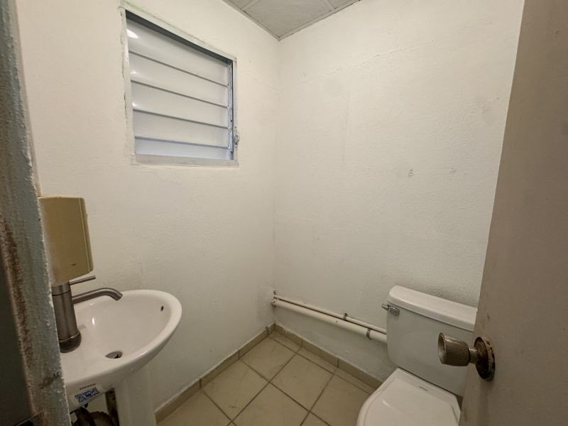 Picture 27