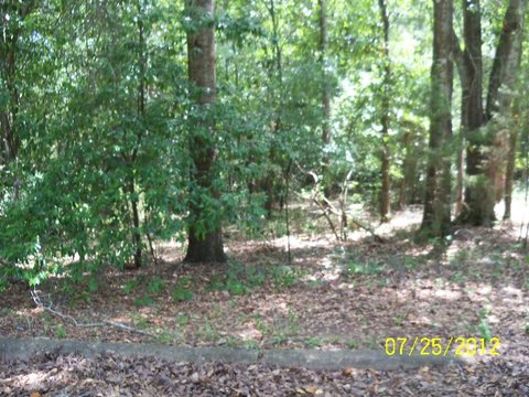 Residential Corner Lot in Lumpkin