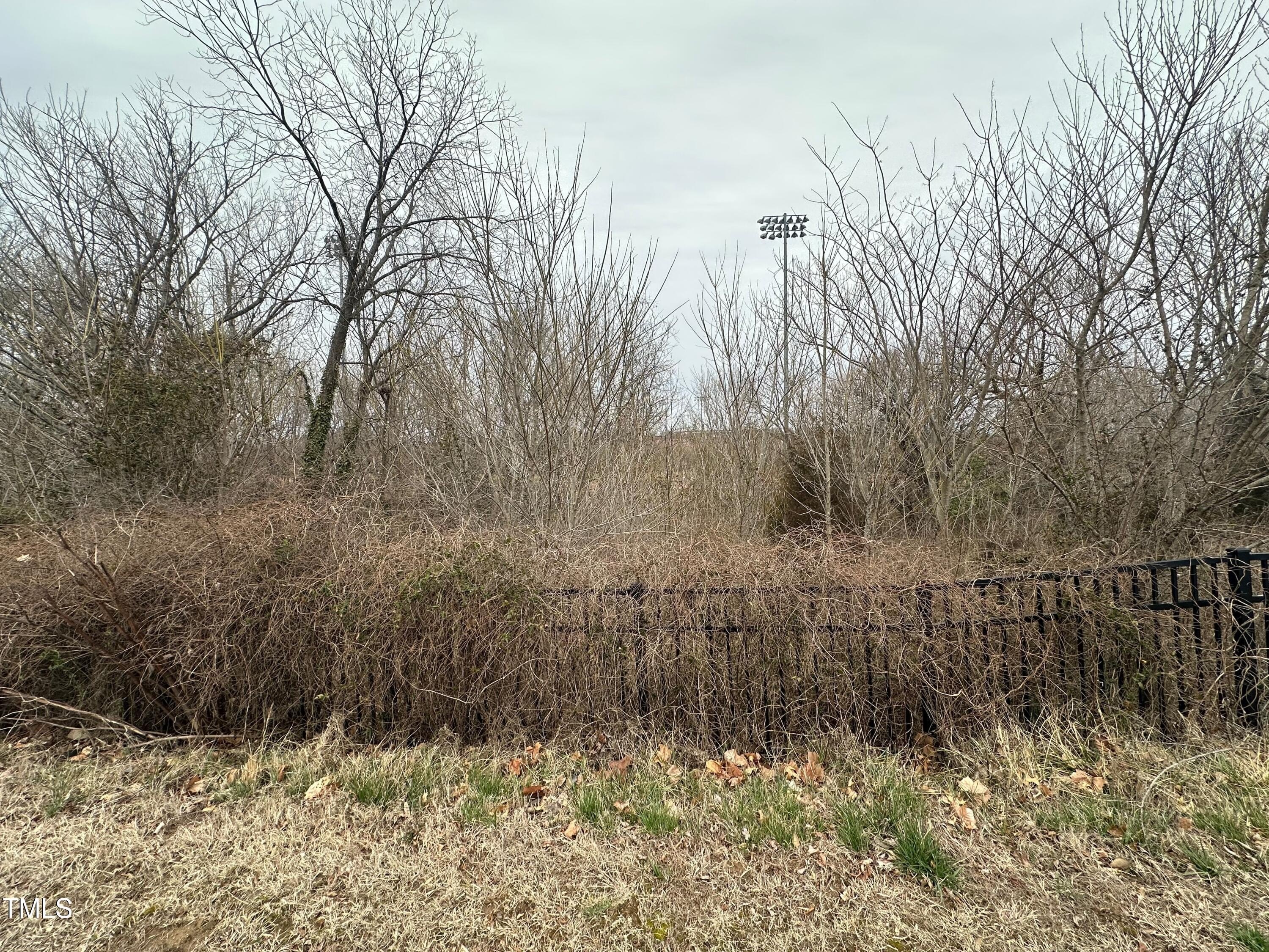 Land in Forsyth County Auction