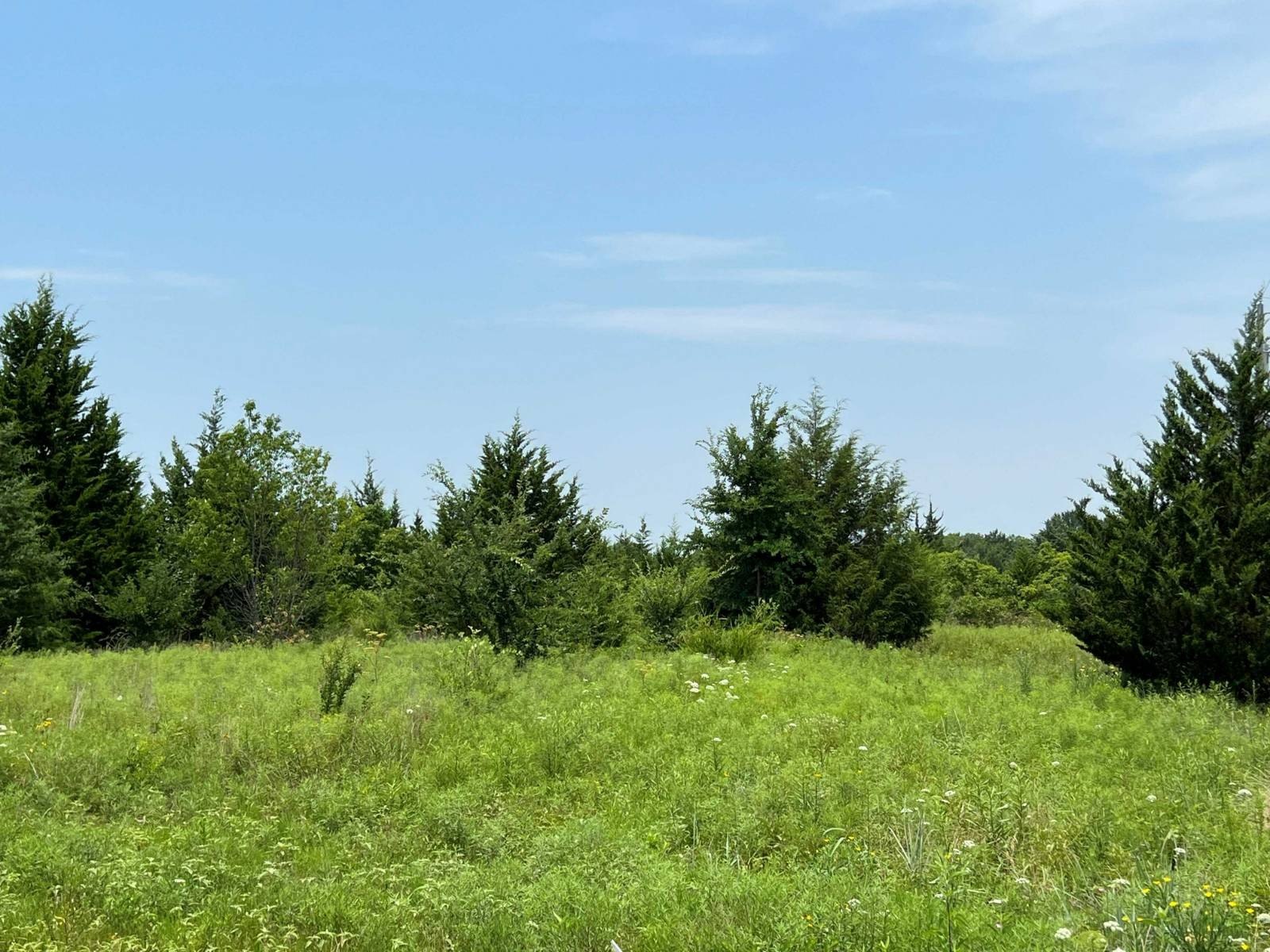 Land Ready for Custom Home