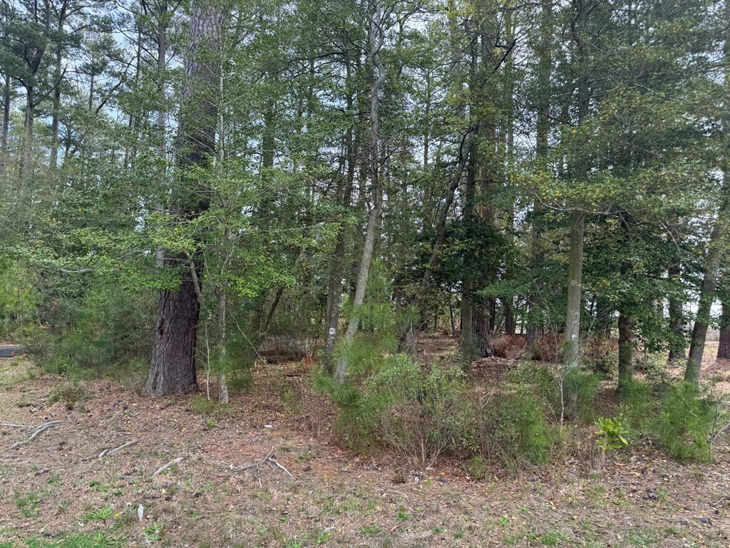 Picture 9
