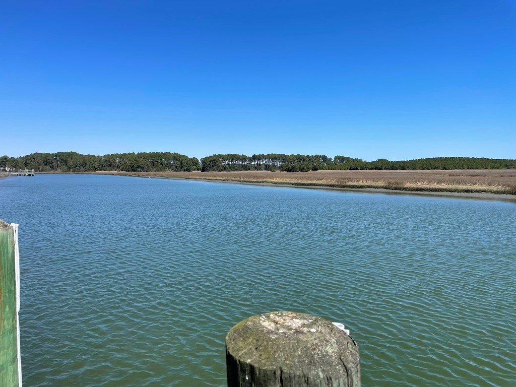 Picture 25