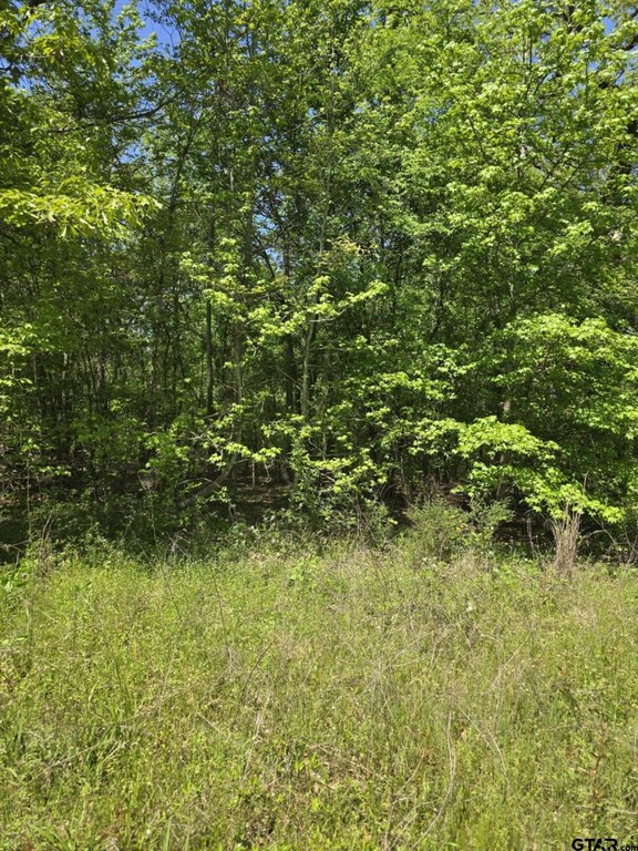 Picture 8
