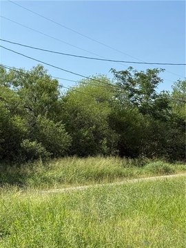 LAND - Alice, TX