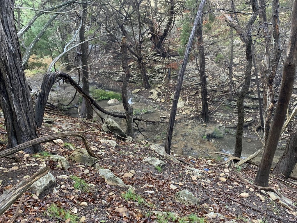 Picture 6