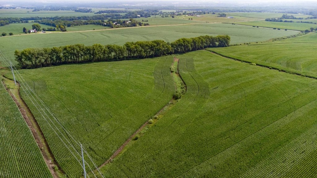 Picture 14