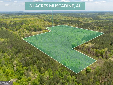 31 Acres in Muscadine, AL
