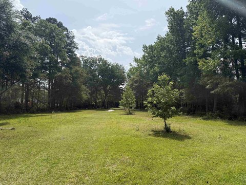 Kingstree Land For Sale