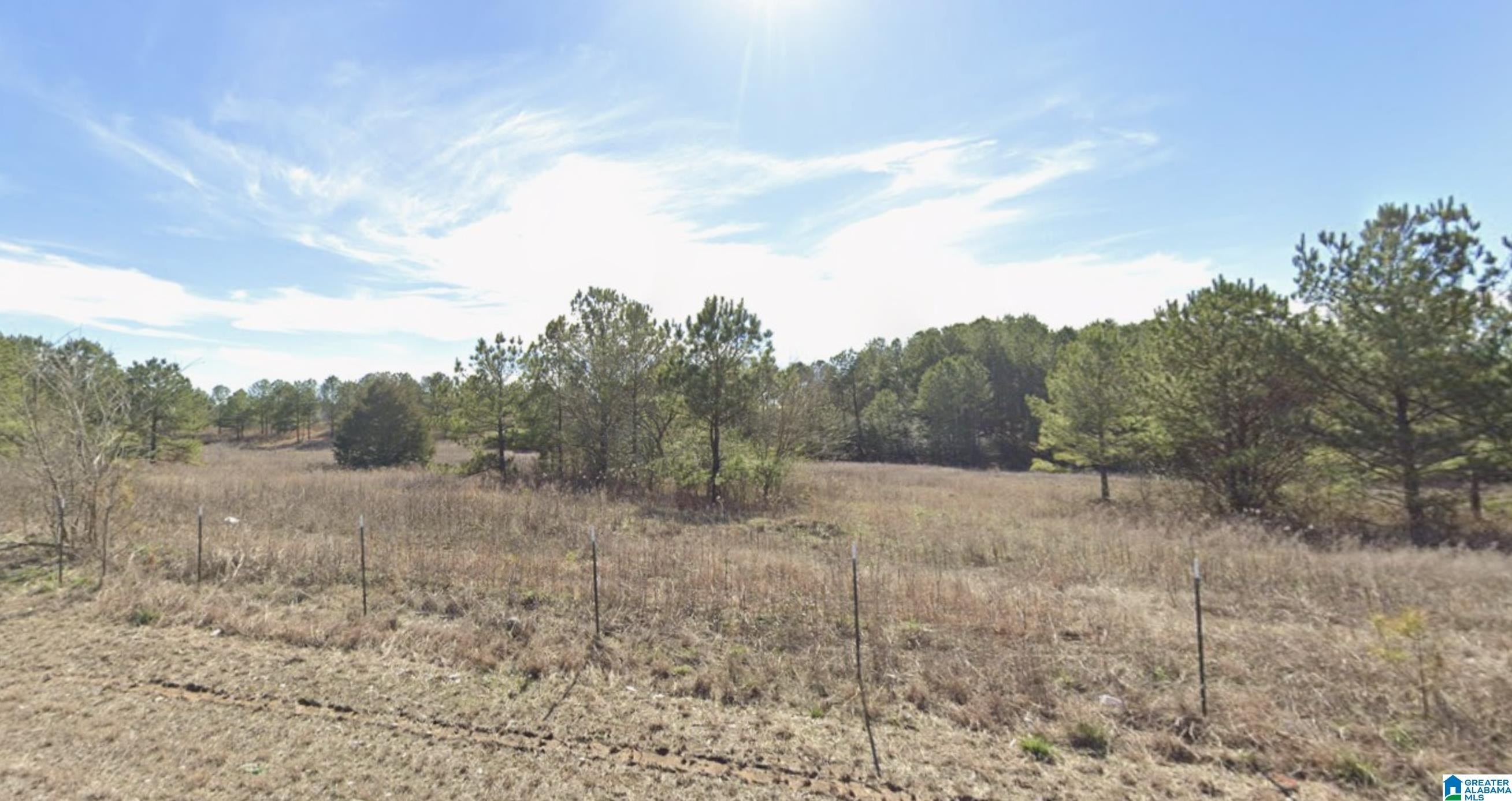 Land For Sale in Dora