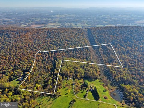 43.16 Acres in Purcellville, VA