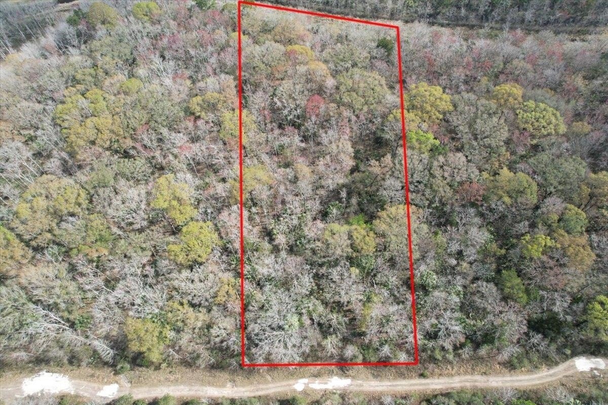 Land in Hastings, Florida