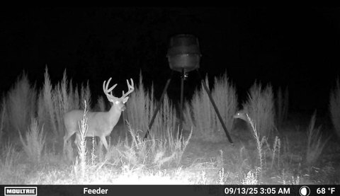 Hunting Land with Food Plots