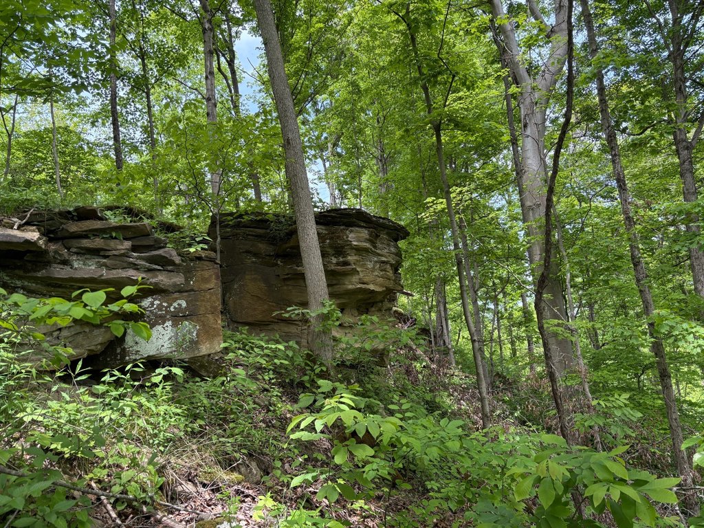 Picture 41