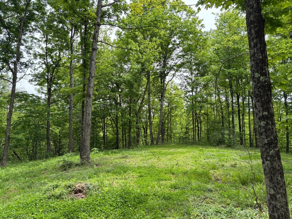 Picture 43
