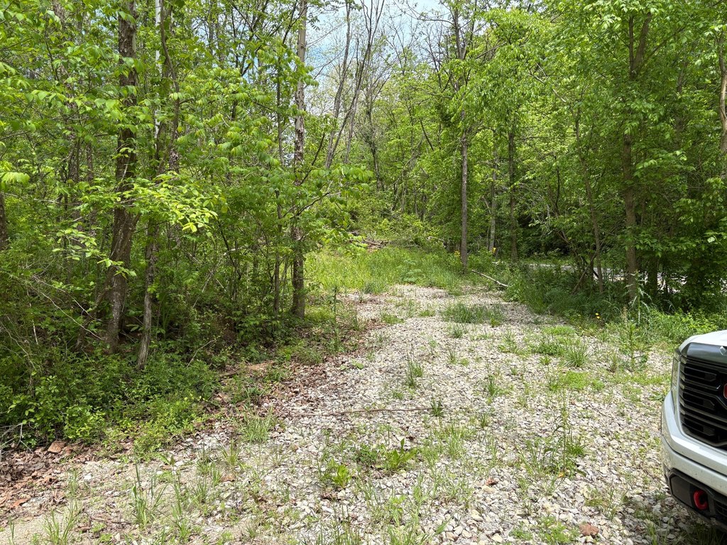 Picture 48