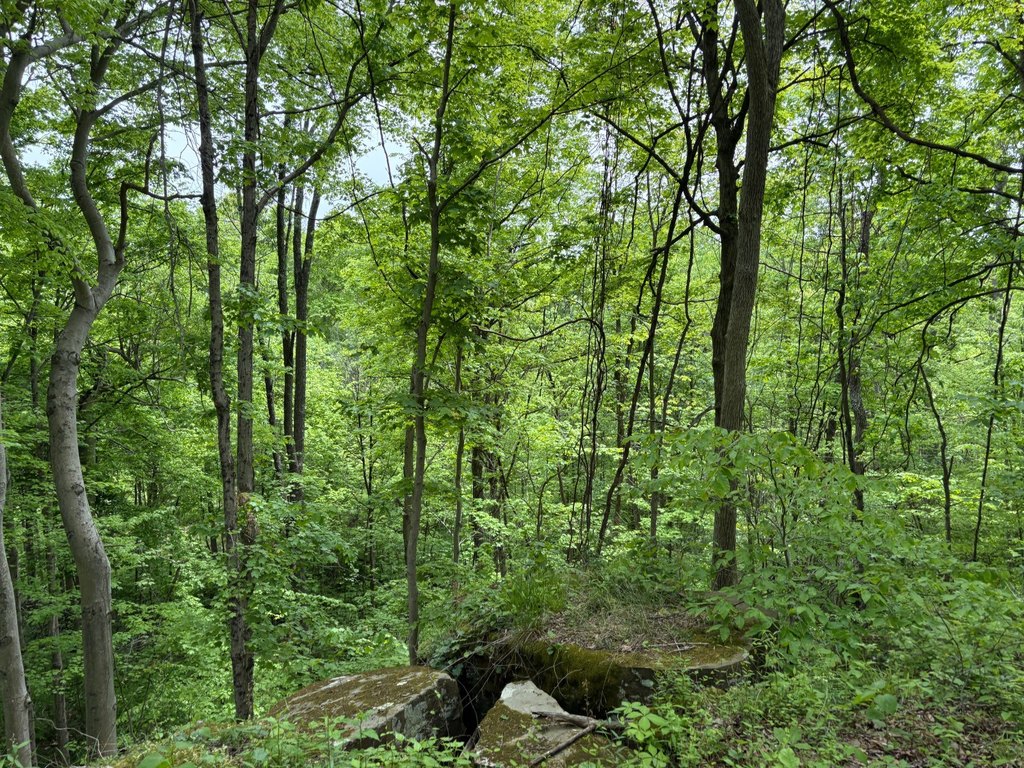 Picture 40