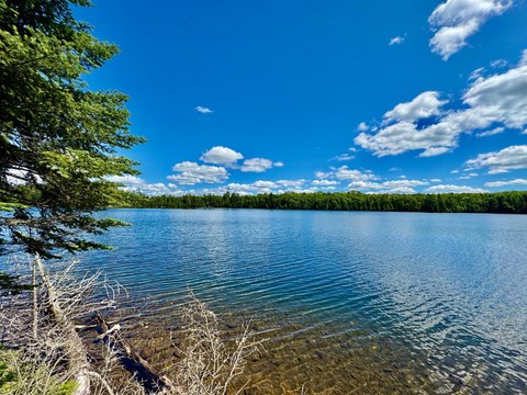 LAND - Watersmeet, MI