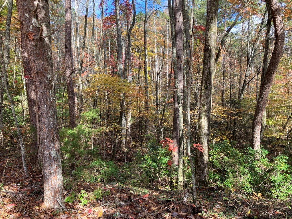 Picture 13