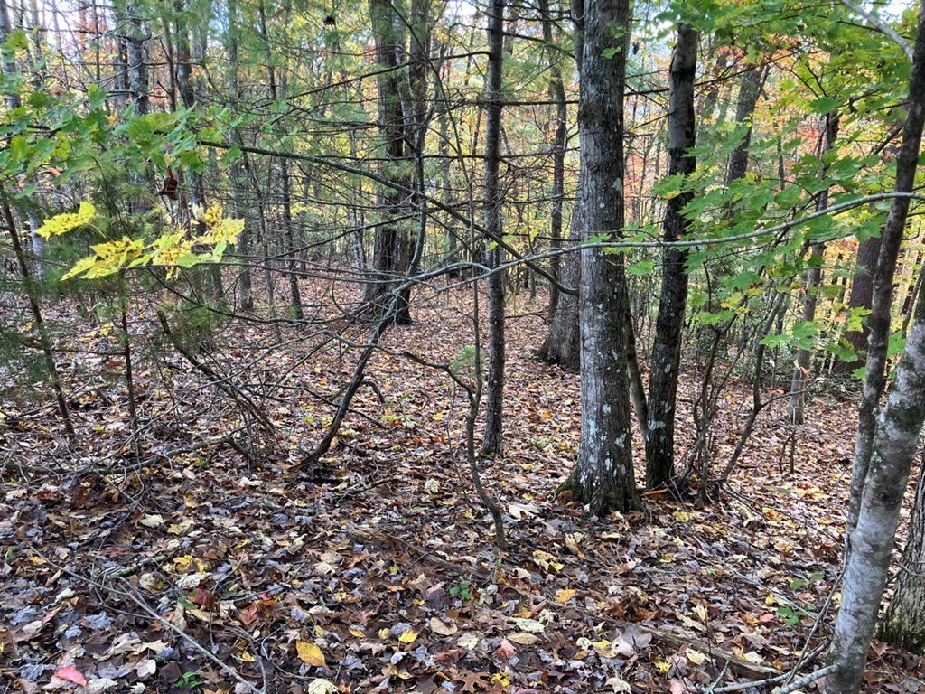 Picture 24