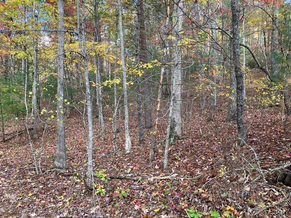 Picture 23
