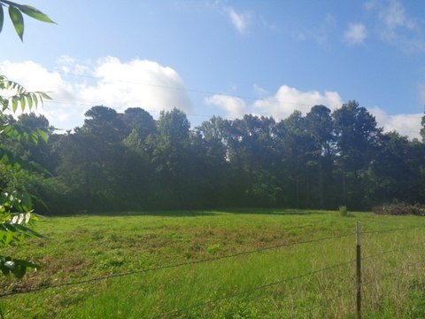 LAND - Quitman, TX