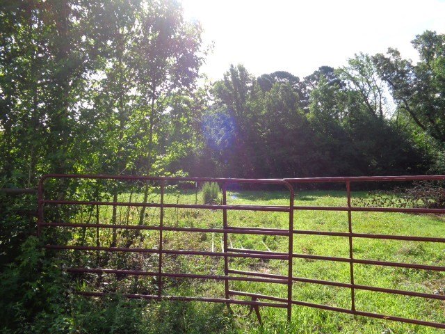 Picture 6
