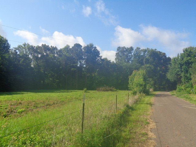 Picture 7