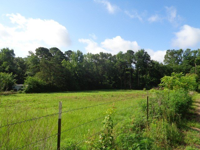 Picture 2